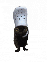 A preview of Chancla Cats